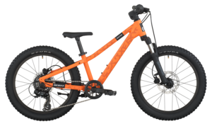 Scott Roxter 200