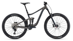 Giant Reign 29